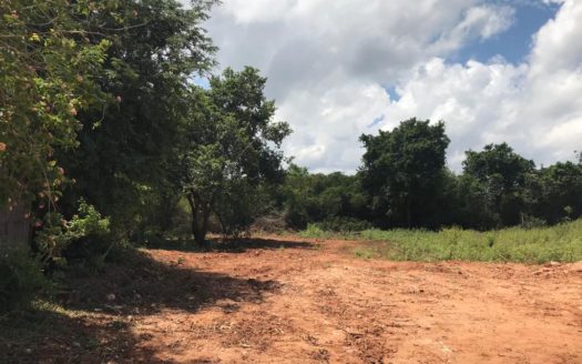 Land for sale in Thelipalai, just 200m from Tellipalai Base Hospital.