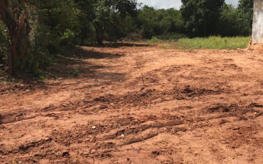 Land for sale in Thelipalai, just 200m from Tellipalai Base Hospital.