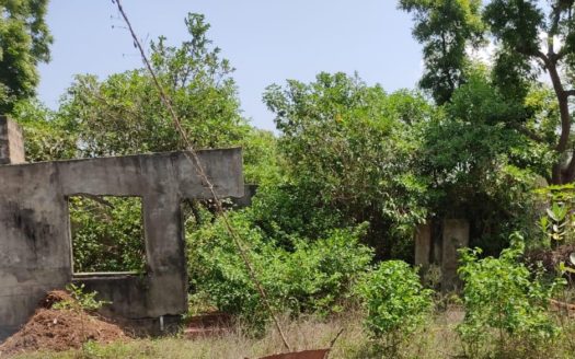 Land for sale in Thelipalai