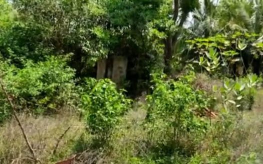 Land for sale in Thelipalai