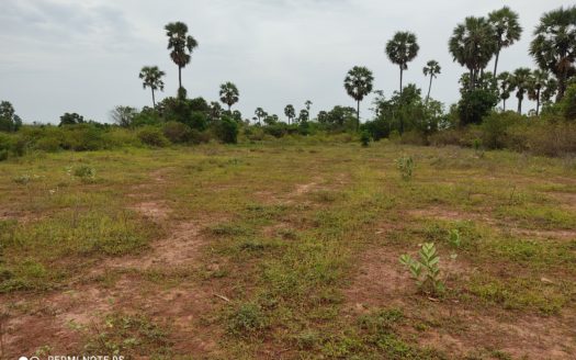 Land for sale in Vithahapuram, Thellipalai.