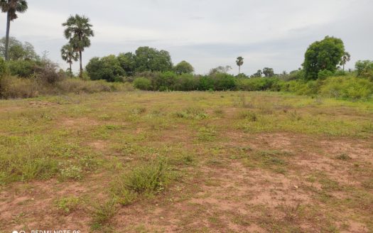 Land for sale in Vithahapuram, Thellipalai.