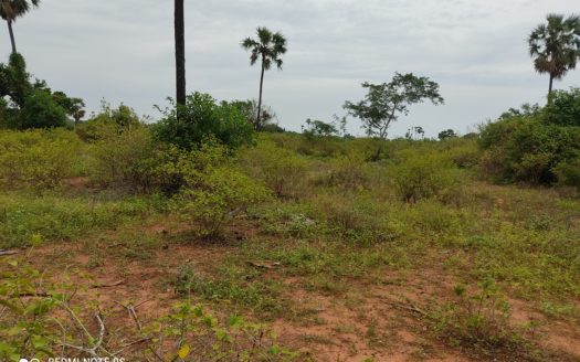 Land for sale in Vithahapuram, Thellipalai.