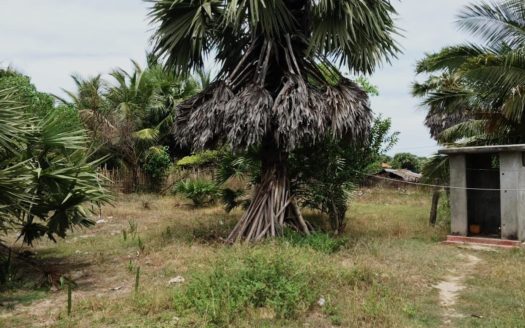 3 bedroom house for sale near Maravanpulo, Chavakachcheri.