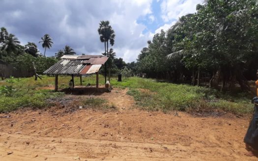 Land for sale in Madduvil