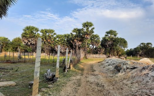 Land for sale in Eluthumaduvazh north