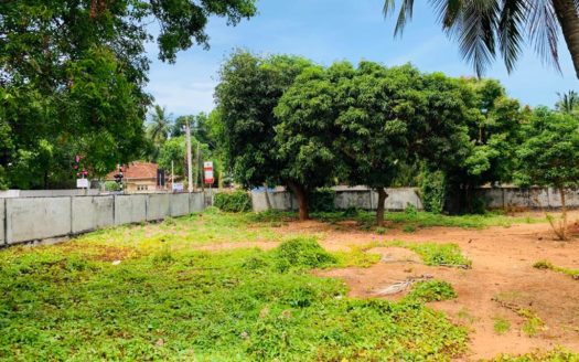 Land for sale near Mampalam Junction.