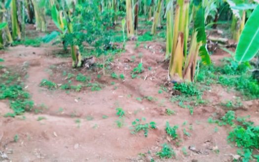 Land for sale in Urumpirai North.