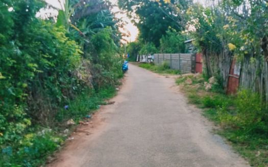 Land for sale in Urumpirai North.