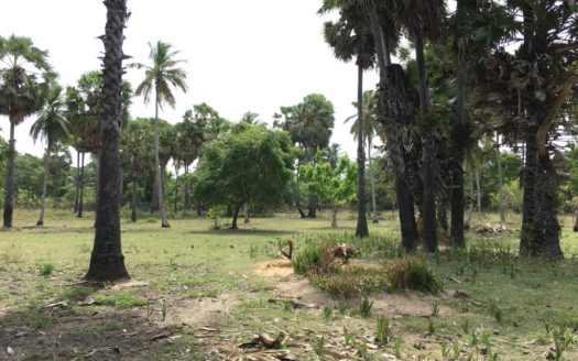Land for sale in Meesalai