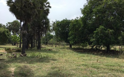 Land for sale in Meesalai