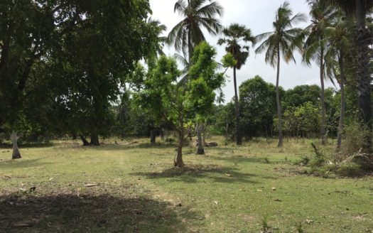 Land for sale in Meesalai