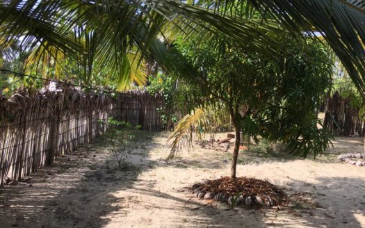 2 bedroom house for sale in Maravanpulo, Chavakachcheri.