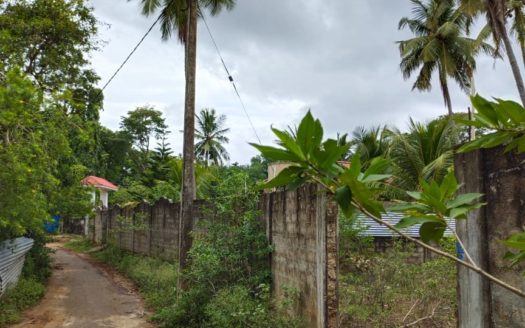 Land for sale at Kalvalavu lane, thurkkapuram,thellipalai.