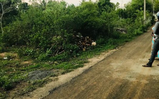 Land for sale in Thellippalai.