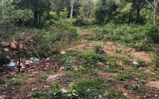 Land for sale in Thellippalai.