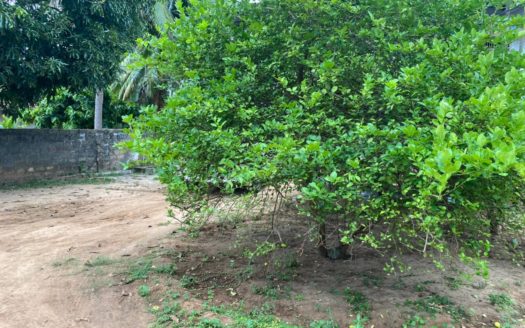 House for sale in Irupalai