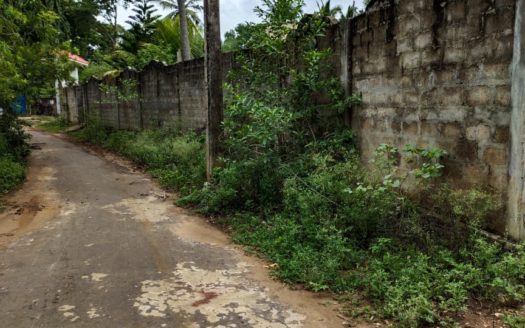 Land for sale at Kalvalavu lane, thurkkapuram,thellipalai.