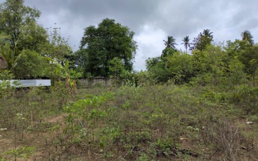 Land for sale at Kalvalavu lane, thurkkapuram,thellipalai.