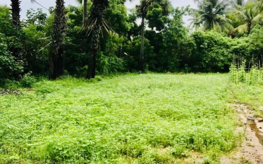 House For Sale In Navali