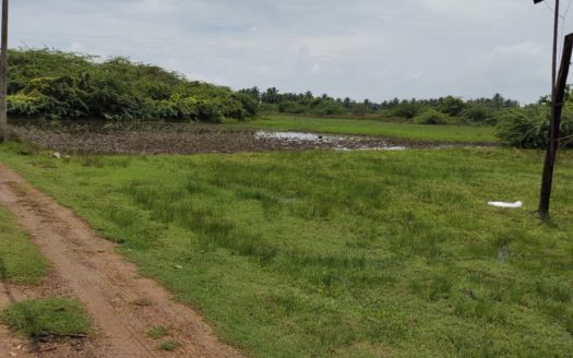 Field land for Sale in Kopay.