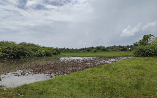 Field land for Sale in Kopay.