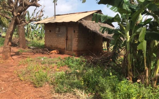 Road Facing land for sale at Navatkiri Puttur Road