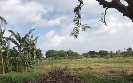Road Facing land for sale at Navatkiri Puttur Road