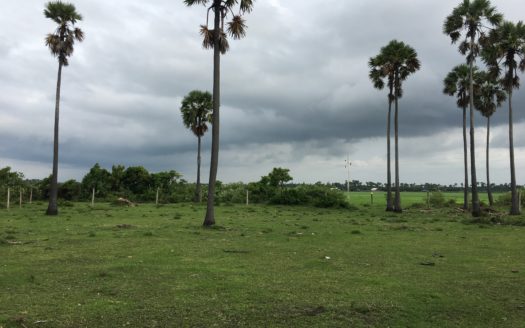 Land for sale in Vaddukkottai