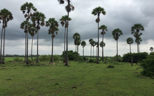 Land for sale in Vaddukkottai