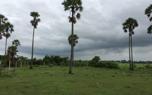Land for sale in Vaddukkottai