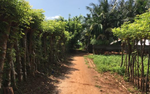 Land for sale in Ilavalai.