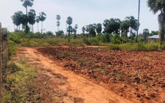 Land For Sale in Mayilitty