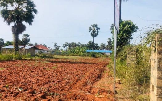 Land For Sale in Mayilitty