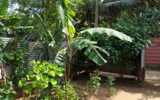 House For Sale In Sandilippay