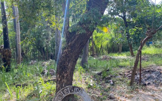 House for sale in  near the Puttur Meesalai junction