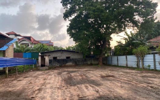 Land for sale in Ramanathan Road, Thirunelveli