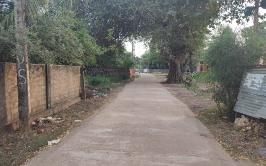 Land for sale in Sanguveli