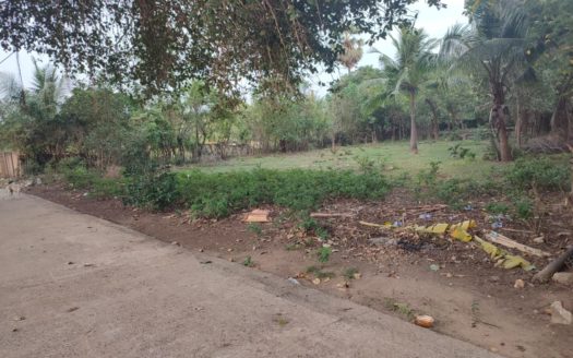 Land for sale in Sanguveli