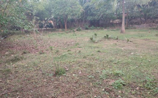 Land for sale in Sanguveli