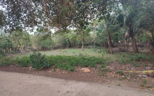 Land for sale in Sanguveli