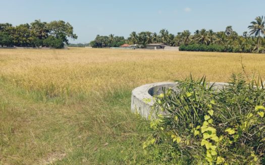 Field land for Sale in Kalviyankadu