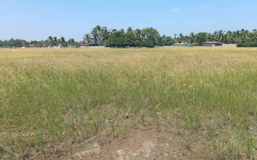 Field land for Sale in Kalviyankadu