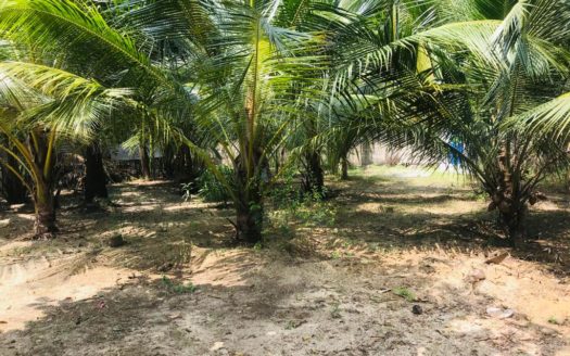 Land for sale at 100m from vattukottai karainagar main road
