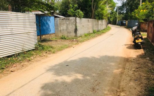 Land for sale at 100m from vattukottai karainagar main road