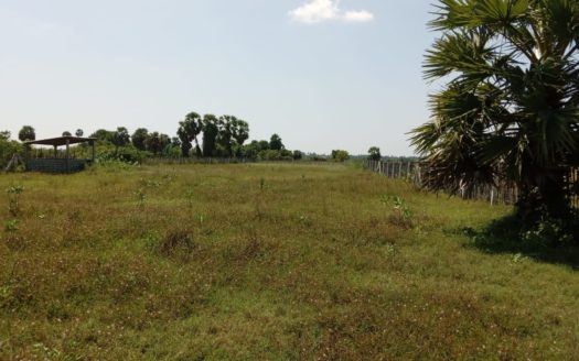 land for Sale suitable for coconut cultivation in Kaithady