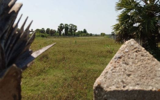land for Sale suitable for coconut cultivation in Kaithady
