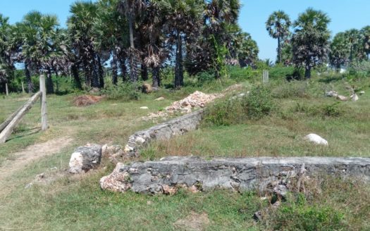 land for Sale suitable for coconut cultivation in Kaithady