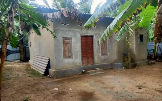 Poultry farm for sale at Moolai,vattukottai Including hens)