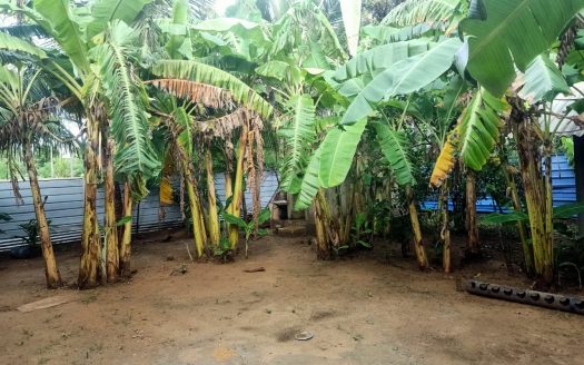 Poultry farm for sale at Moolai,vattukottai Including hens)